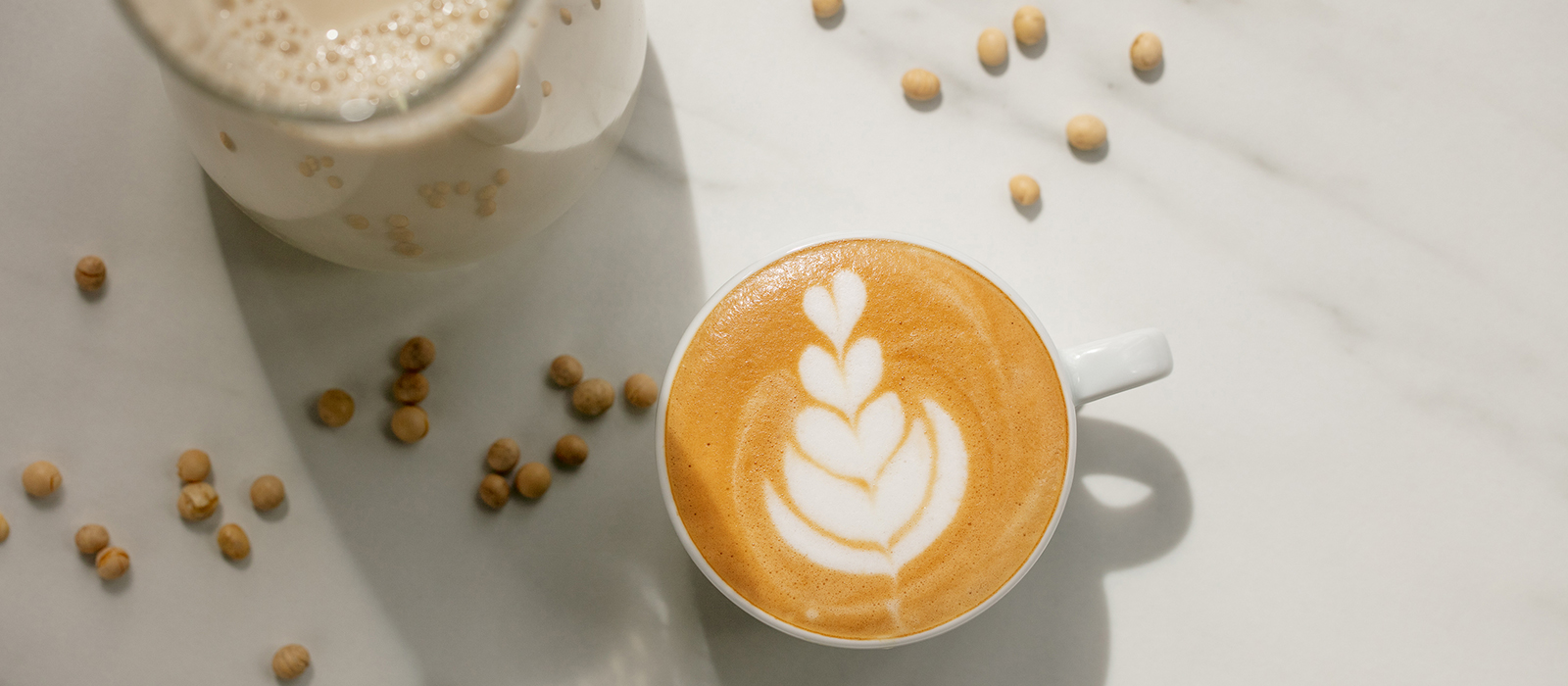 https://www.coffee-spirit.maxicoffee.com/wp-content/uploads/2021/06/milk-for-latte-art.jpg