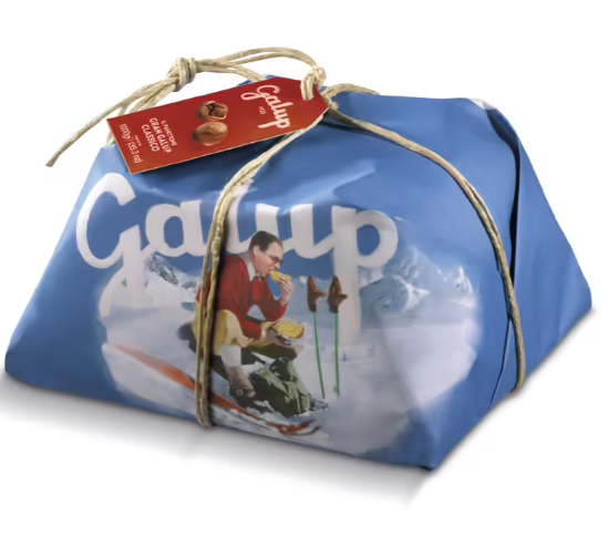 galup panettone cadeau originale pour toute la famille