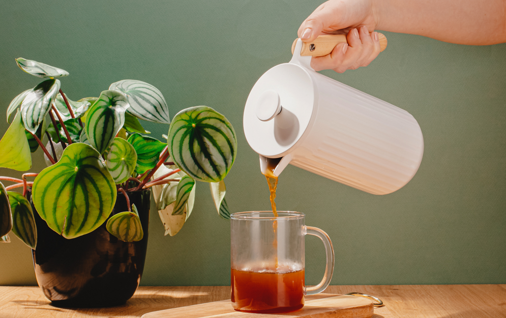 Cafetière à piston isotherme